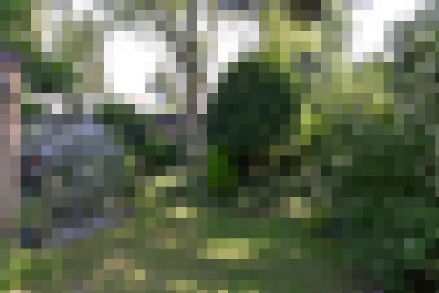 Javastraat 21 Baarn thumbnail 27