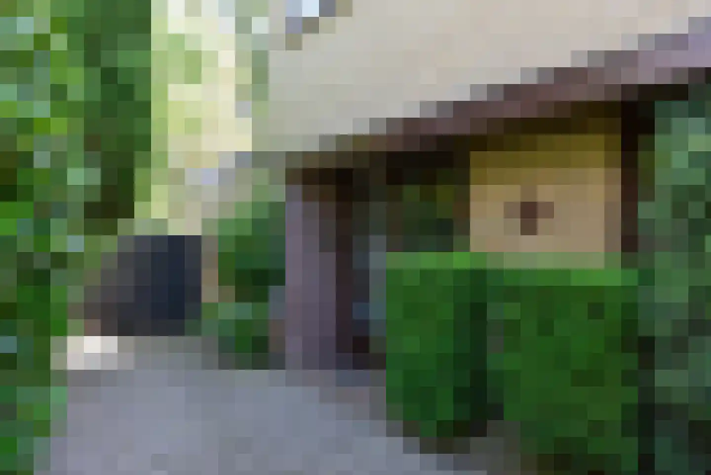 Javastraat 21 Baarn thumbnail 31