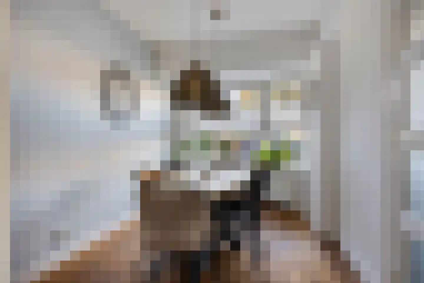 Javastraat 22 's-Hertogenbosch thumbnail 11
