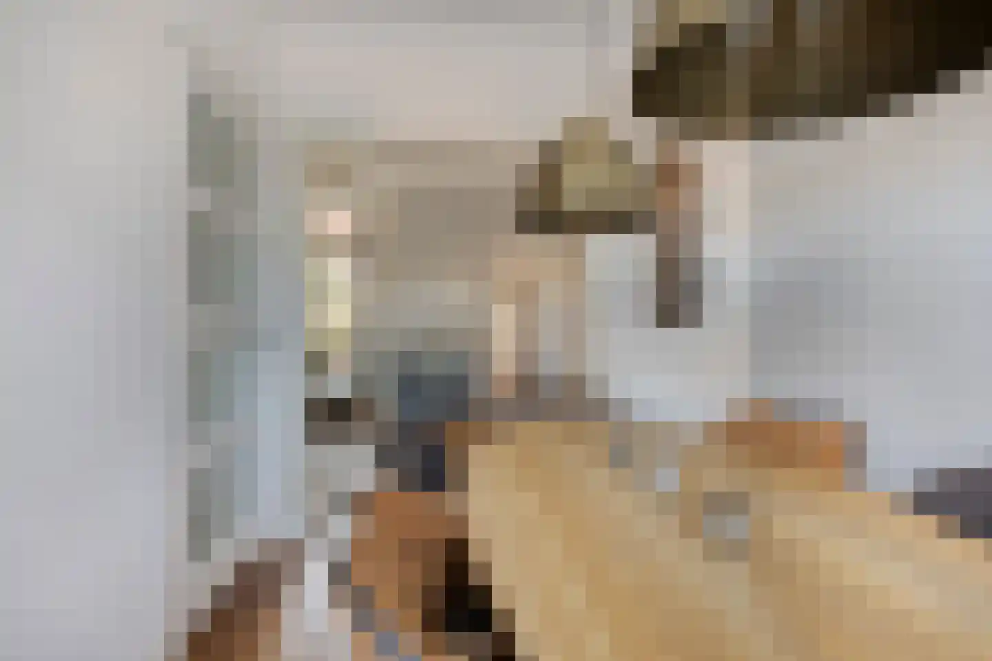 Javastraat 22 's-Hertogenbosch thumbnail 12