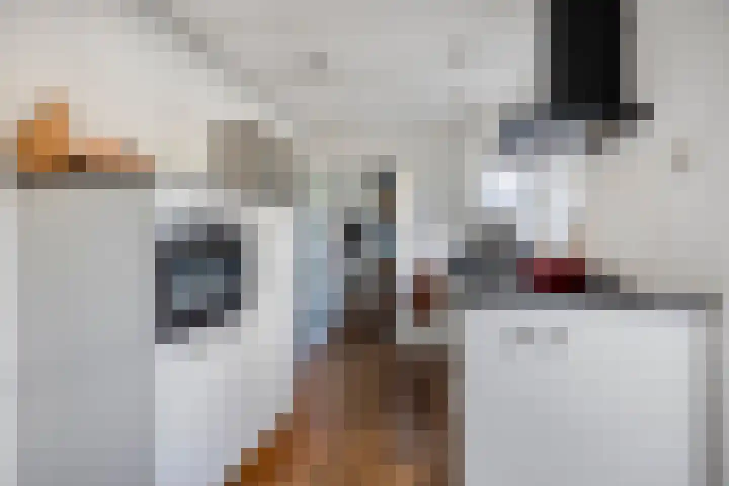 Javastraat 22 's-Hertogenbosch thumbnail 13