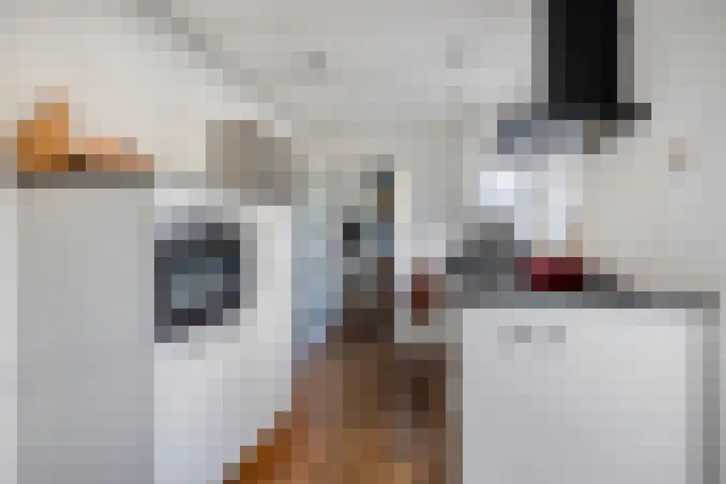 Javastraat 22 's-Hertogenbosch thumbnail 13