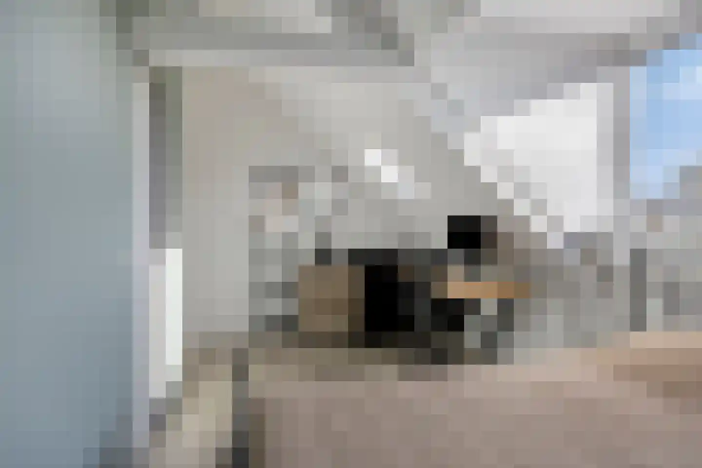 Javastraat 22 's-Hertogenbosch thumbnail 17