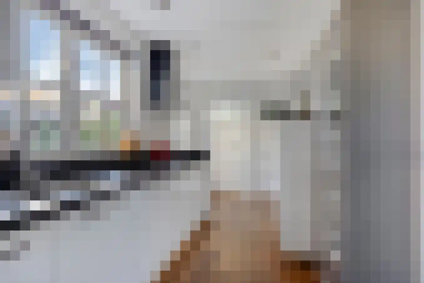 Javastraat 22 's-Hertogenbosch thumbnail 4