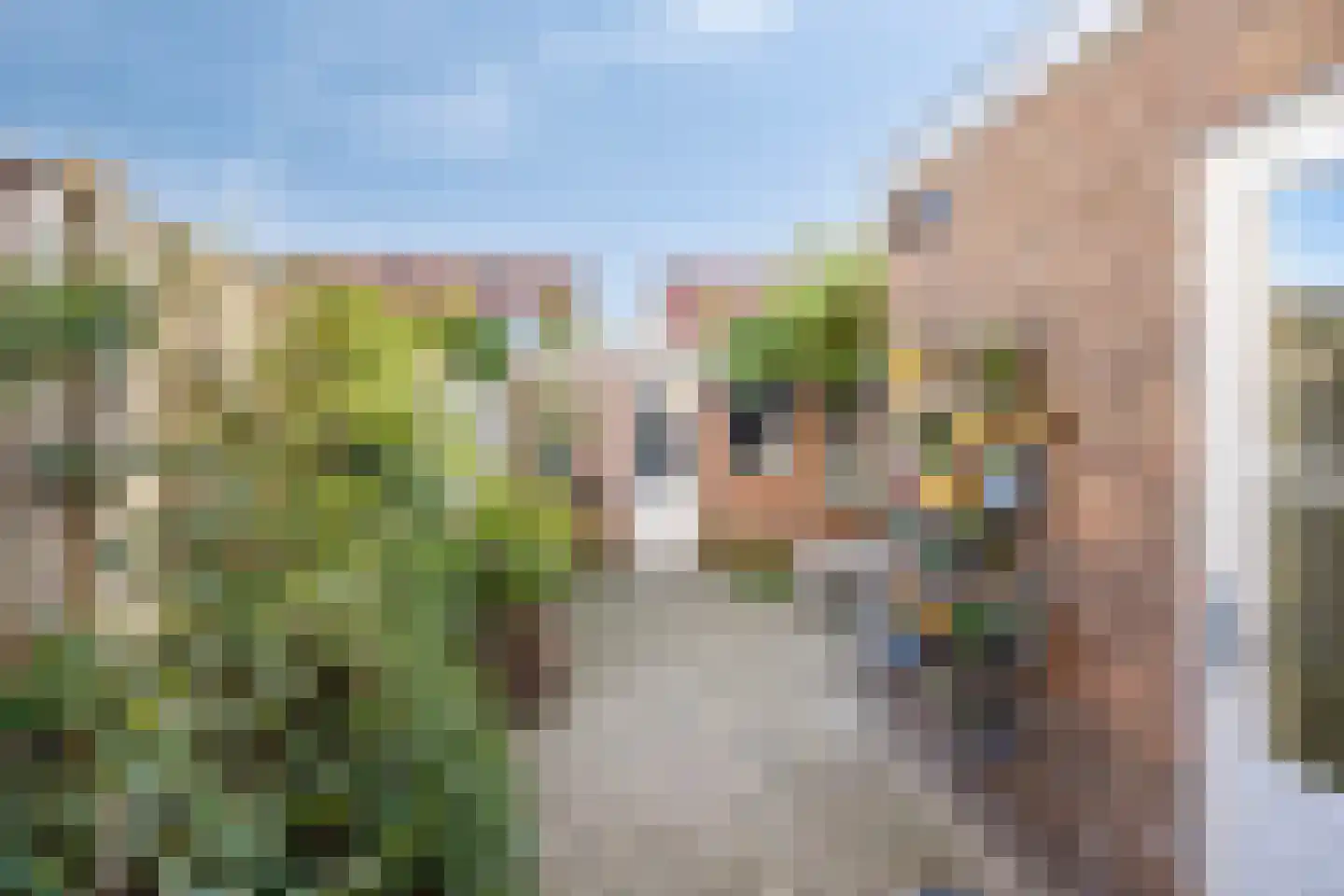 Javastraat 22 's-Hertogenbosch thumbnail 8