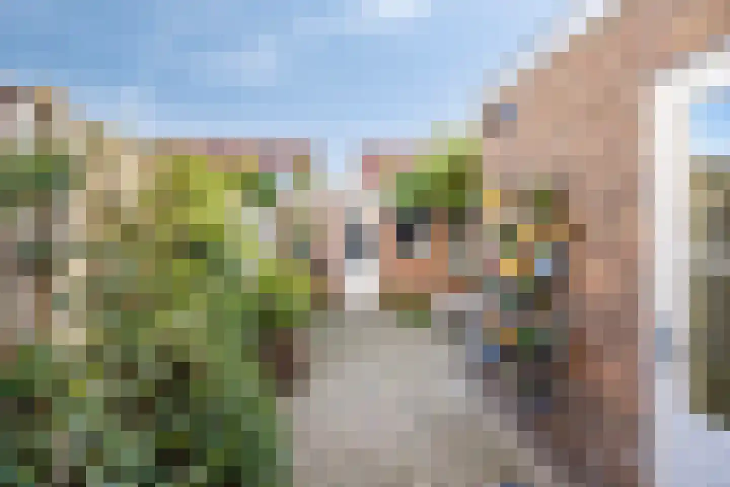Javastraat 22 's-Hertogenbosch thumbnail 8