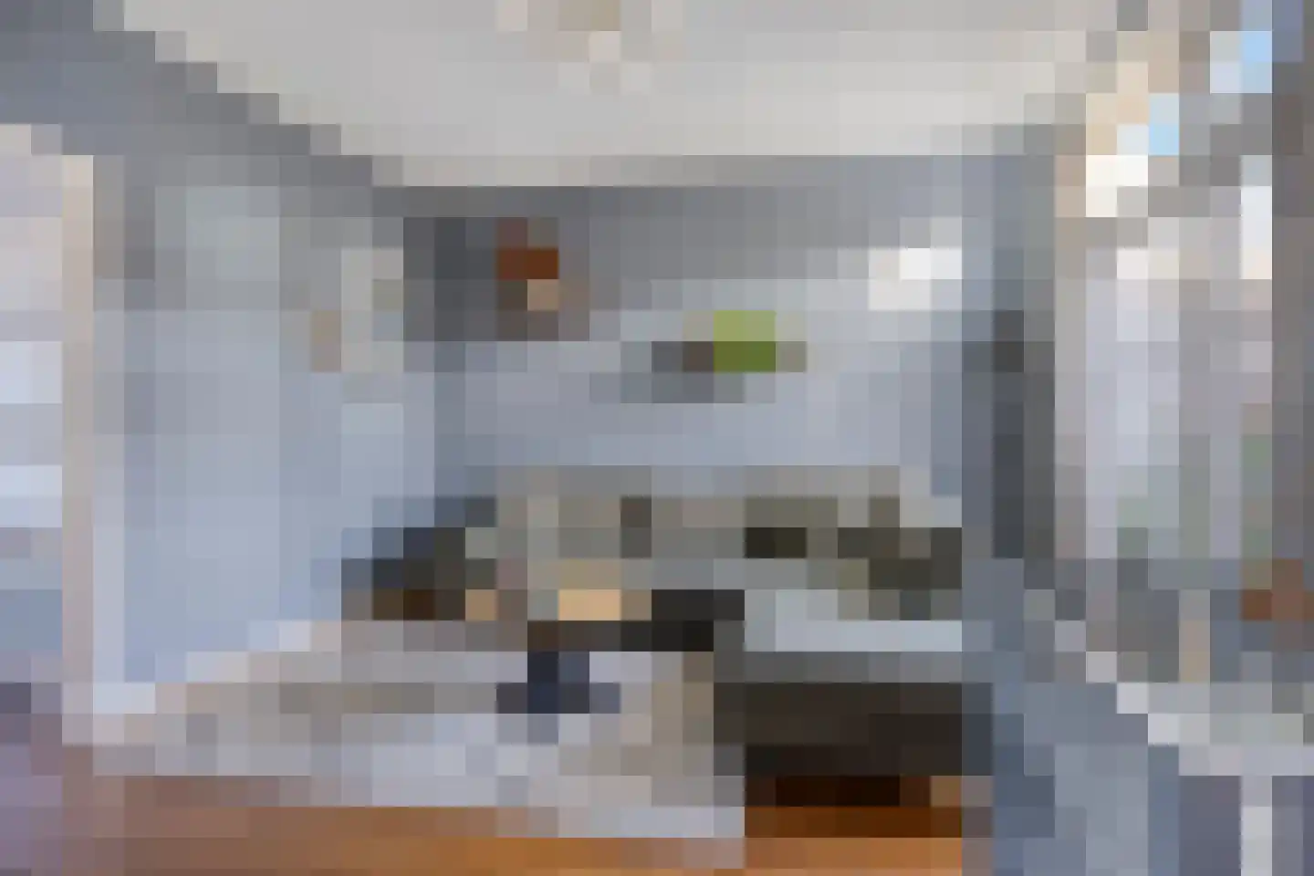 Javastraat 22 's-Hertogenbosch thumbnail 9