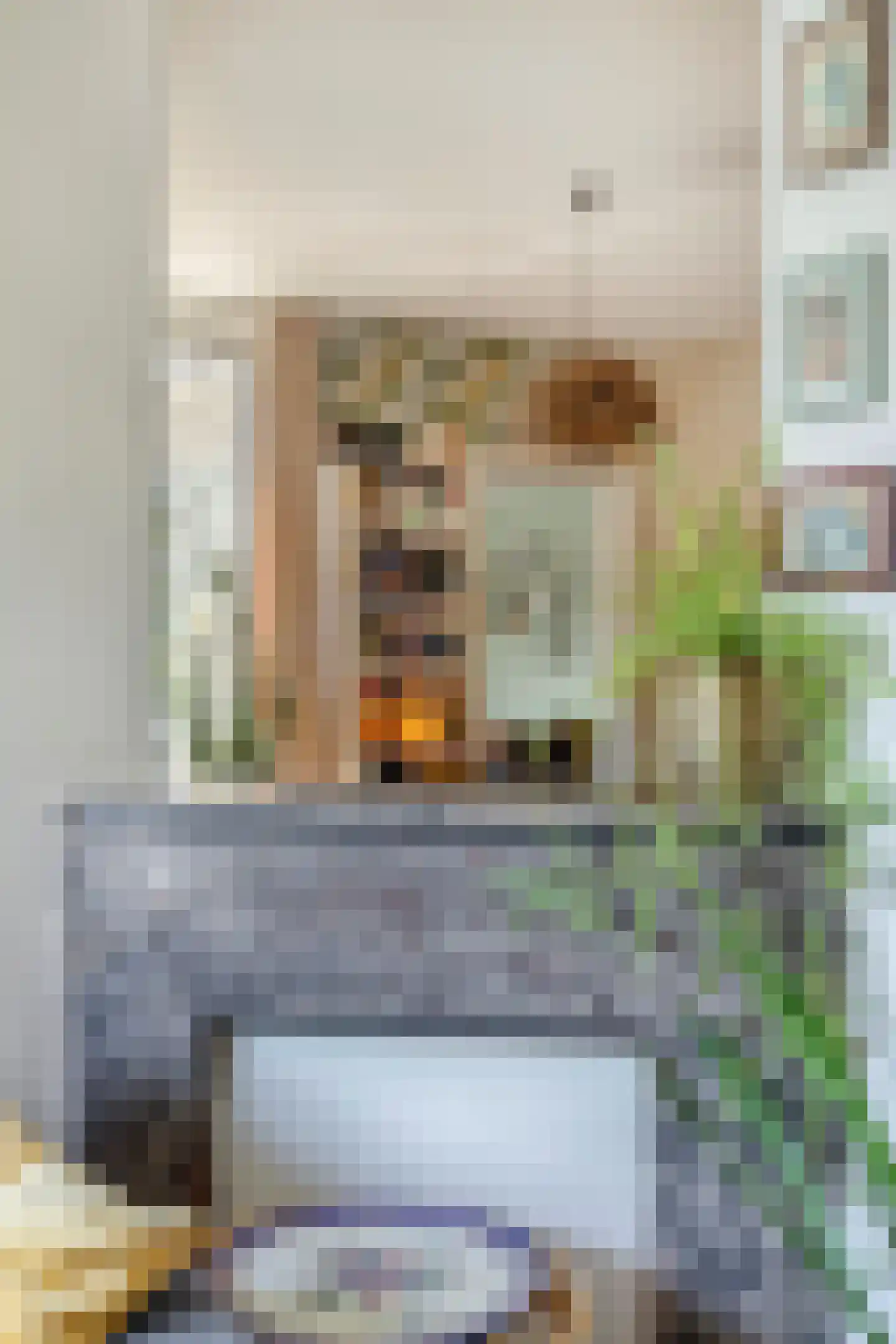 Javastraat 22 Tilburg thumbnail 15