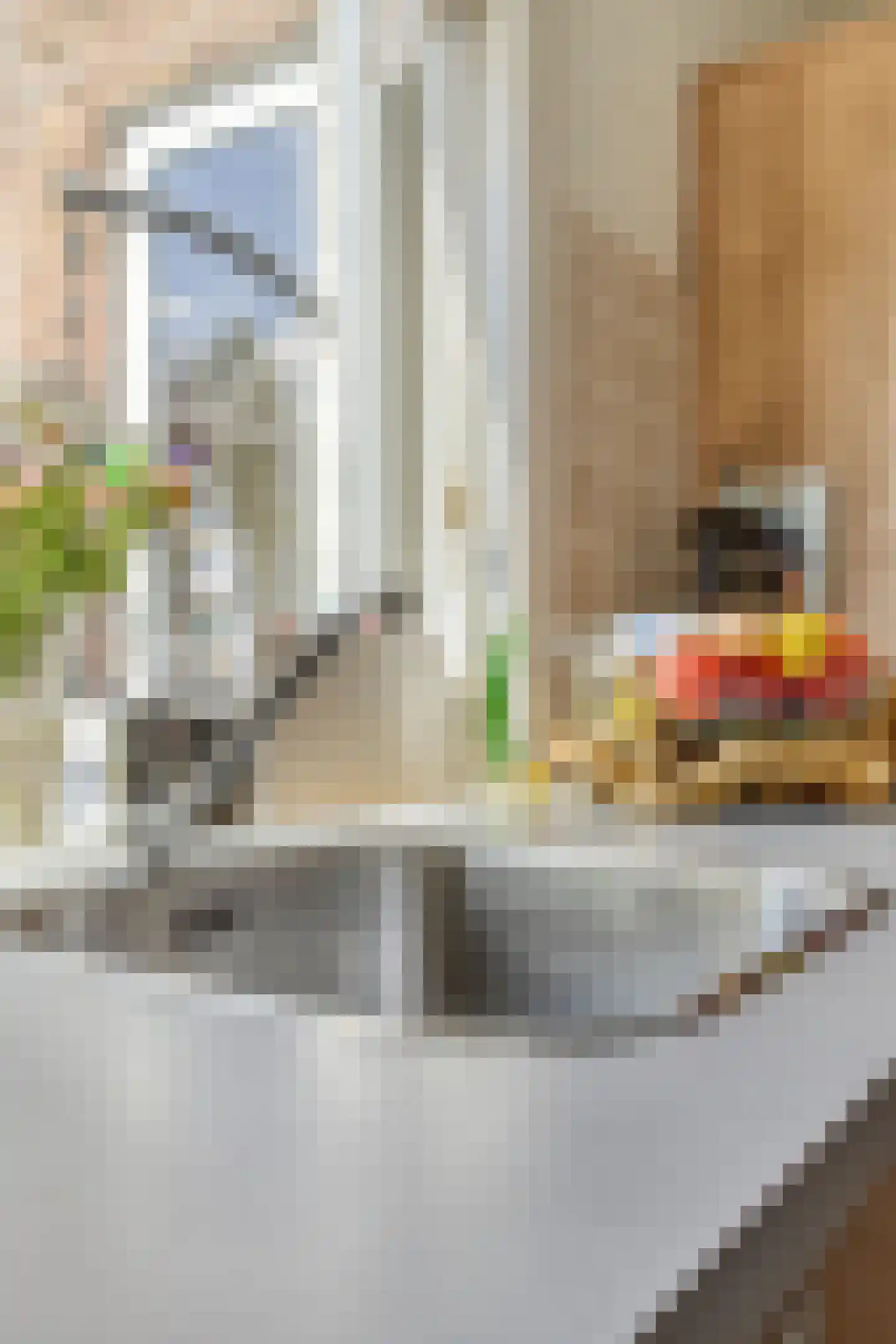 Javastraat 22 Tilburg thumbnail 22