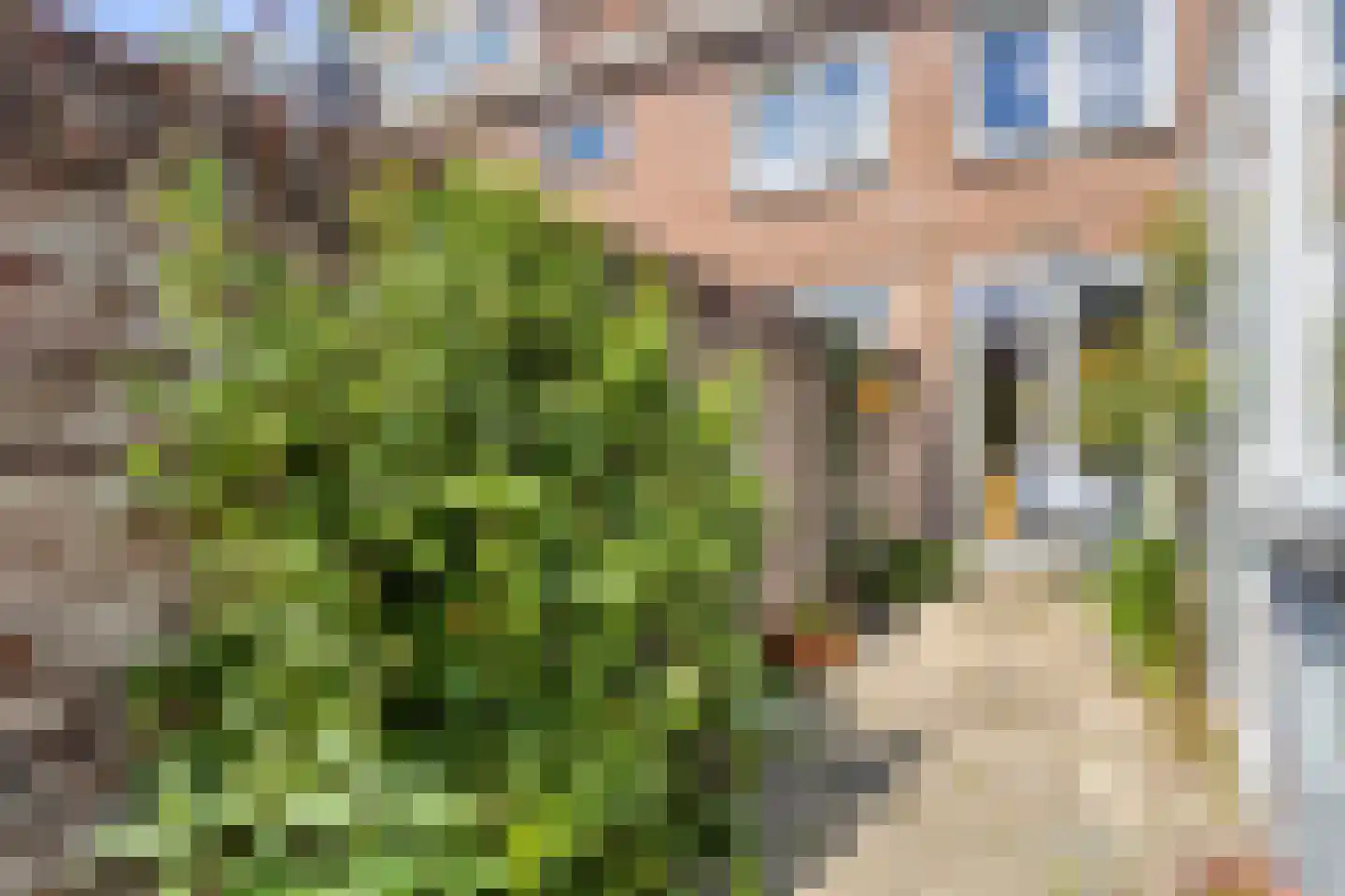 Javastraat 22 Tilburg thumbnail 4
