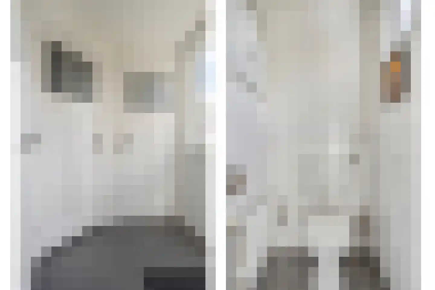 Javastraat 22 Tilburg thumbnail 8