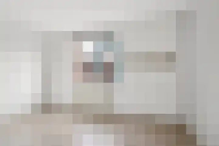 Javastraat 22 Zwolle thumbnail 15