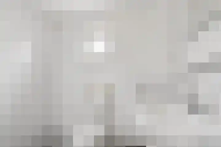 Javastraat 22 Zwolle thumbnail 19