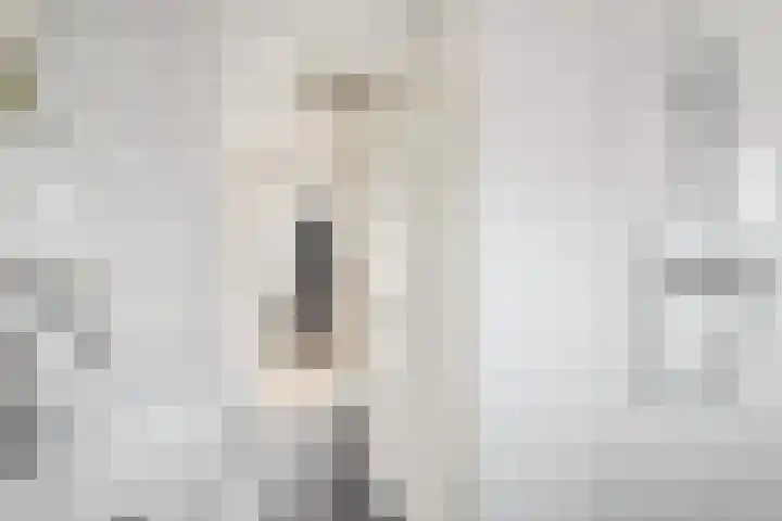 Javastraat 22 Zwolle thumbnail 20