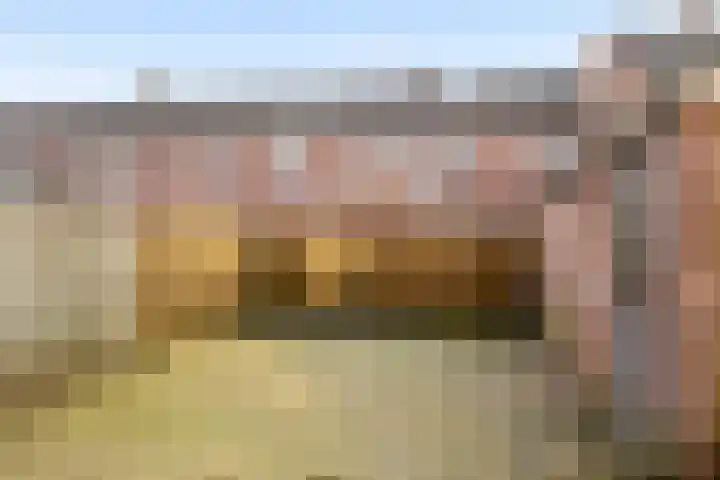 Javastraat 22 Zwolle thumbnail 23