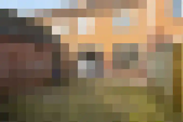 Javastraat 22 Zwolle thumbnail 25