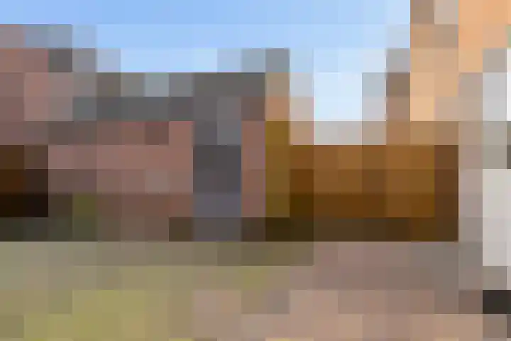 Javastraat 22 Zwolle thumbnail 26