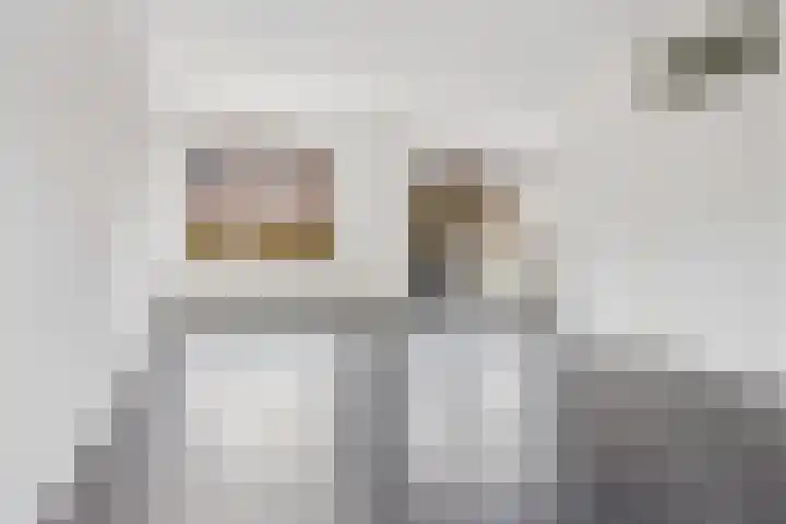 Javastraat 22 Zwolle thumbnail 7
