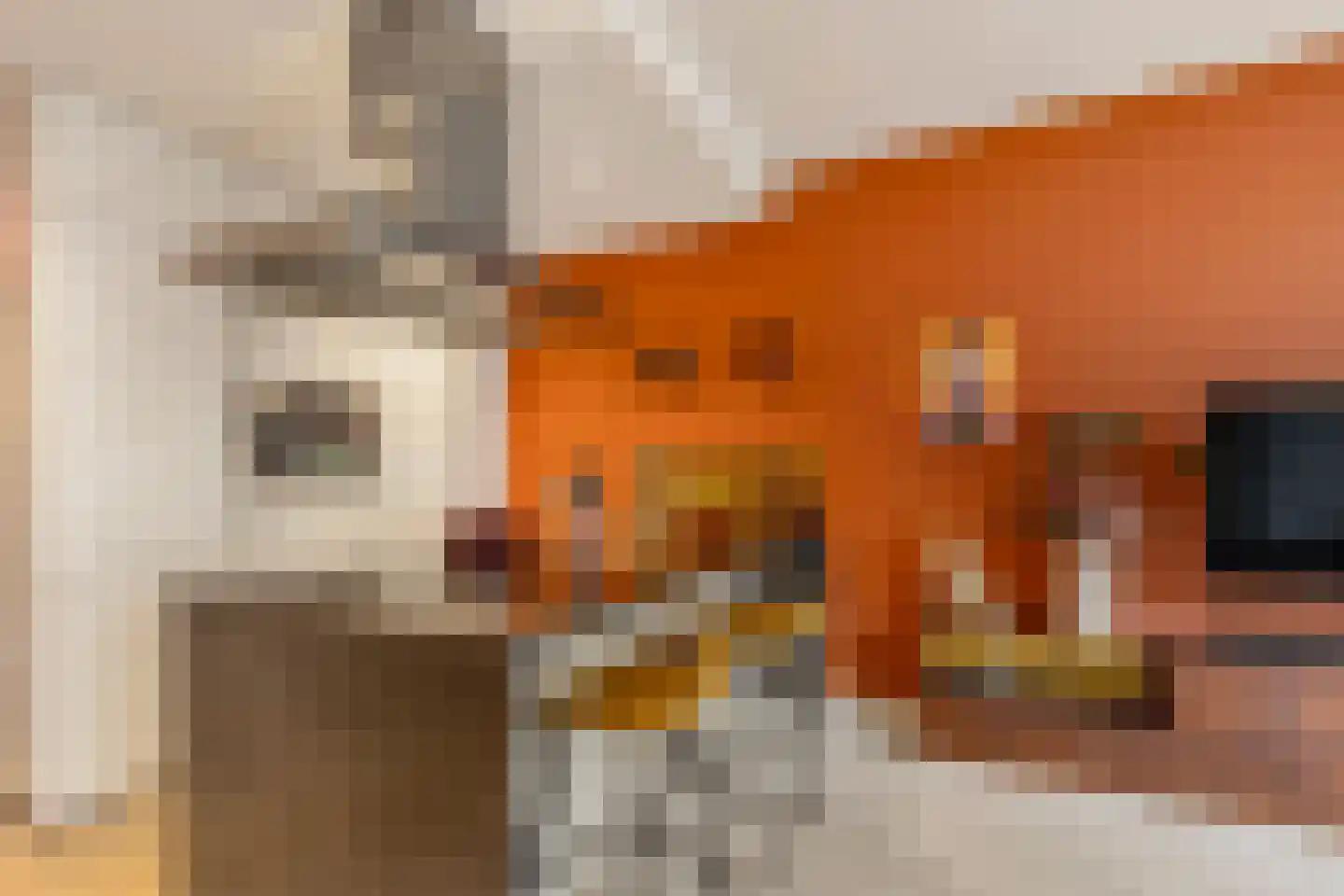 Javastraat 23 1 Amsterdam thumbnail 12