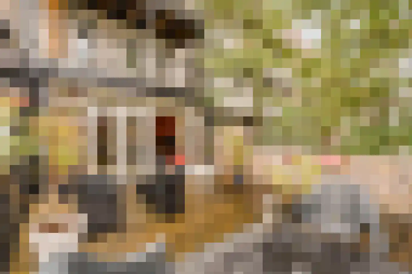 Javastraat 23 1 Amsterdam thumbnail 18