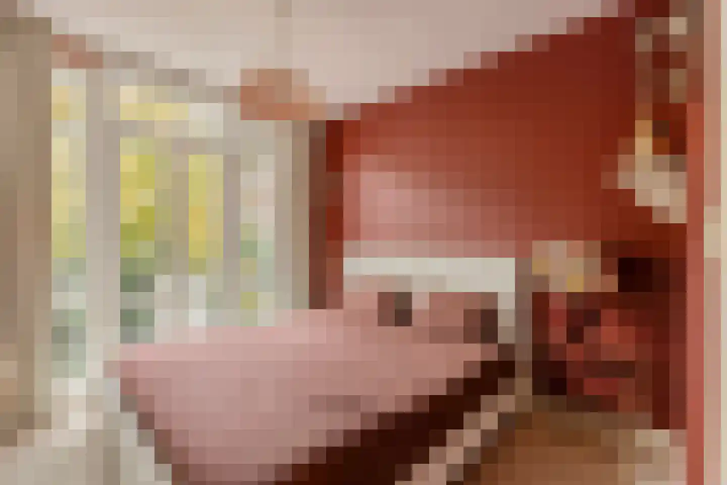 Javastraat 23 1 Amsterdam thumbnail 21