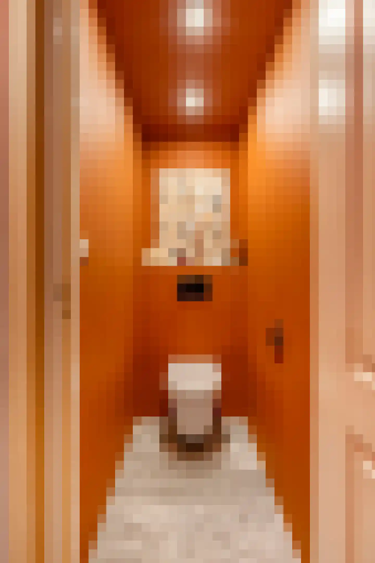 Javastraat 23 1 Amsterdam thumbnail 27