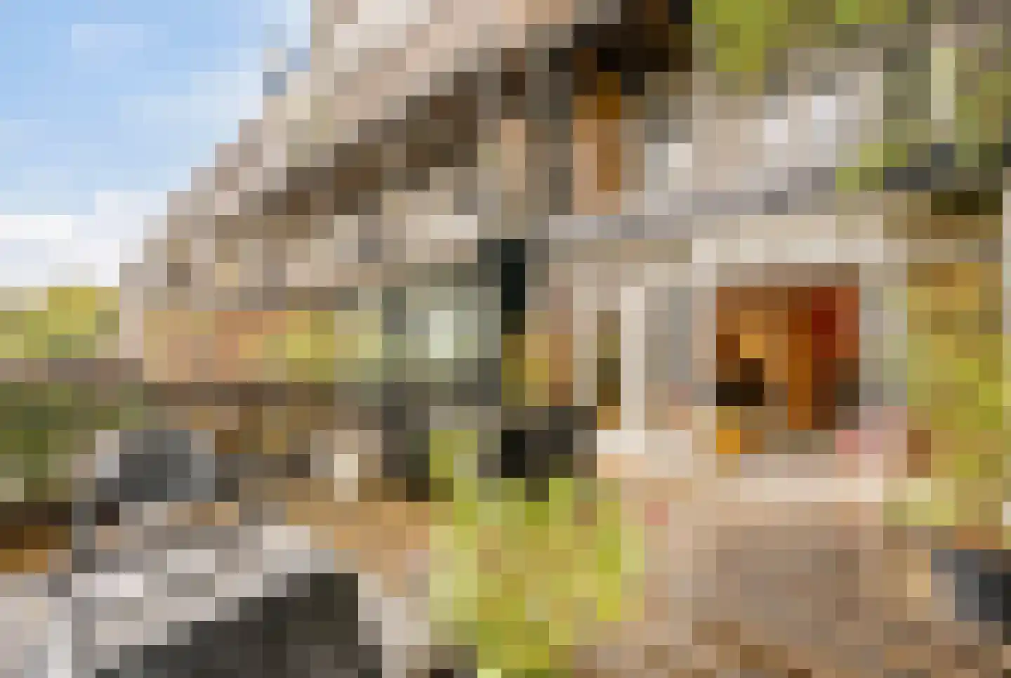 Javastraat 23 1 Amsterdam thumbnail 4