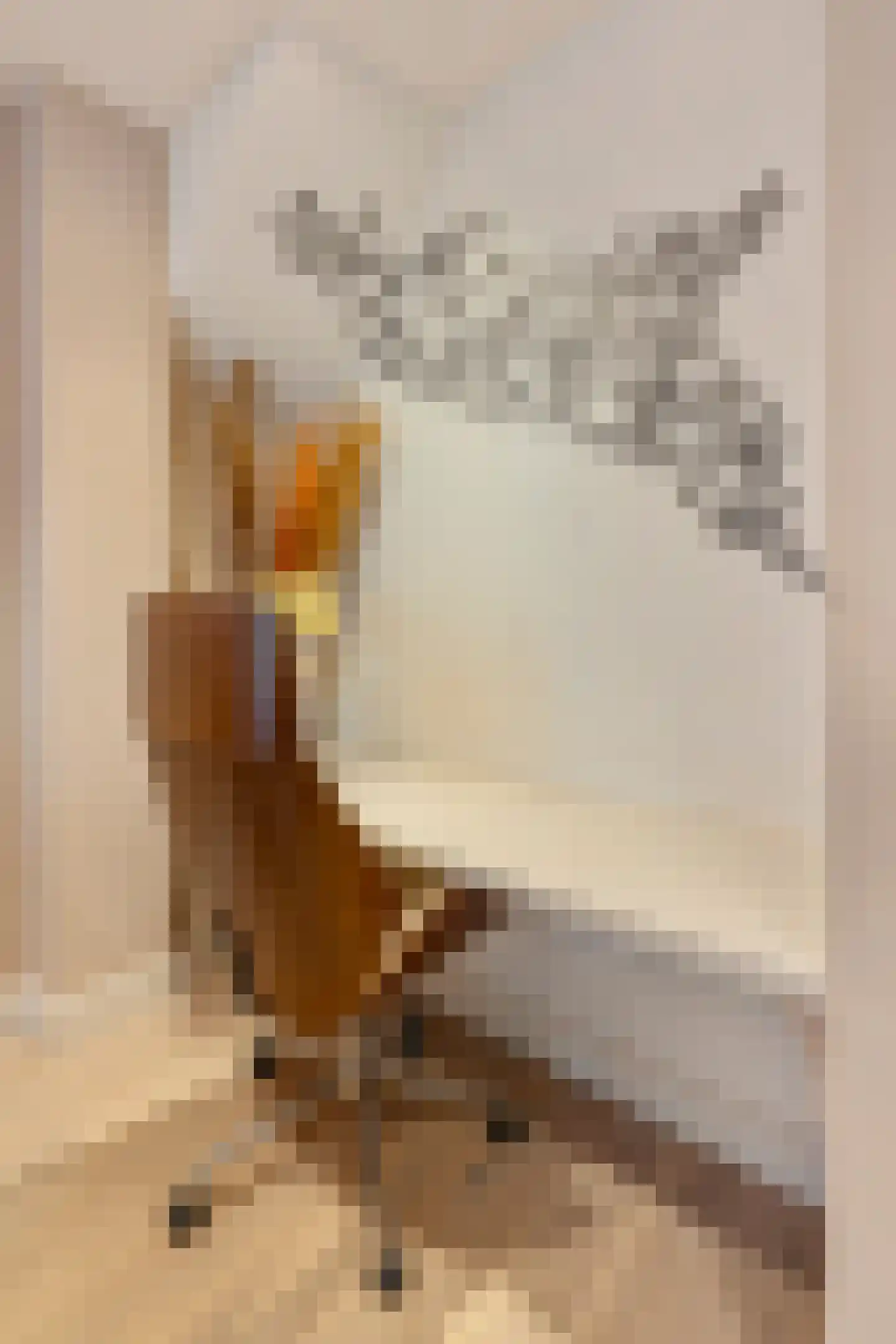 Javastraat 23 1 Amsterdam thumbnail 9