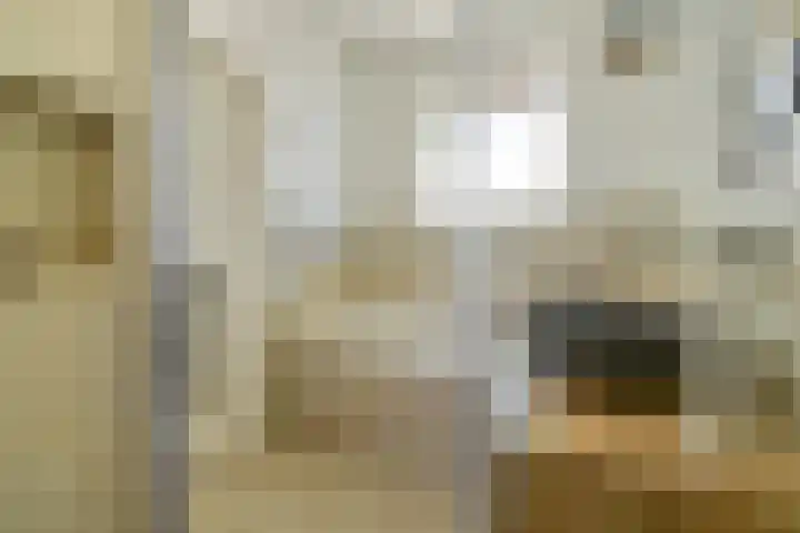 Javastraat 23 2 Amsterdam thumbnail 11