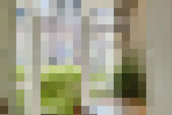 Javastraat 23 2 Amsterdam thumbnail 15