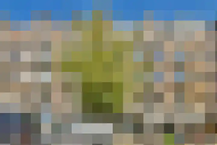 Javastraat 23 2 Amsterdam thumbnail 19