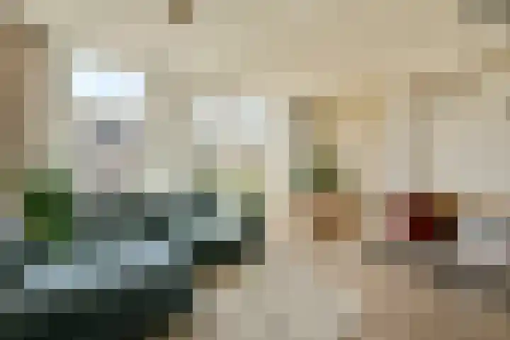 Javastraat 23 2 Amsterdam thumbnail 4