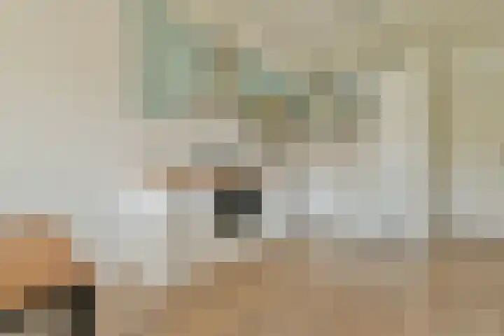 Javastraat 23 2 Amsterdam thumbnail 5