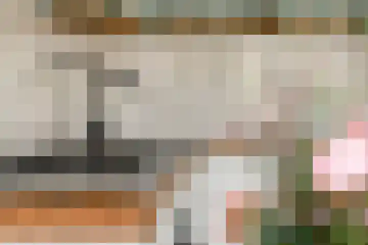 Javastraat 23 2 Amsterdam thumbnail 6