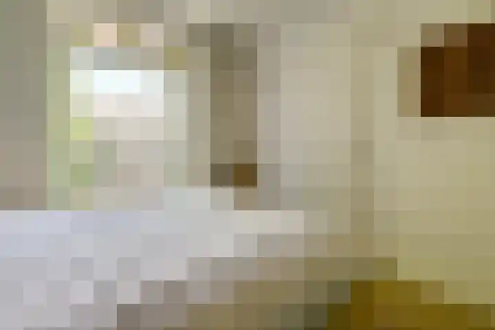 Javastraat 23 2 Amsterdam thumbnail 9