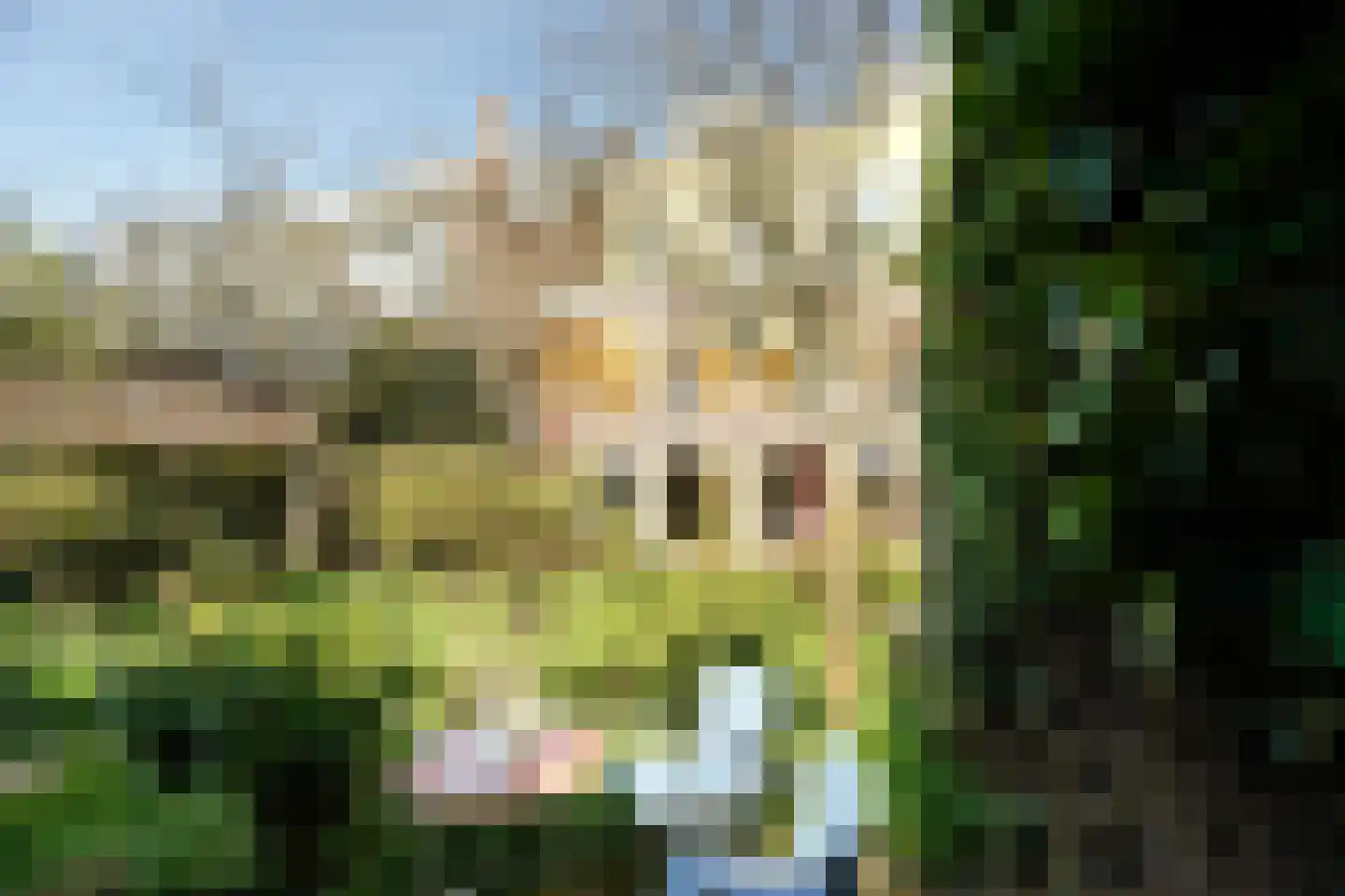 Javastraat 23 Den Haag thumbnail 18