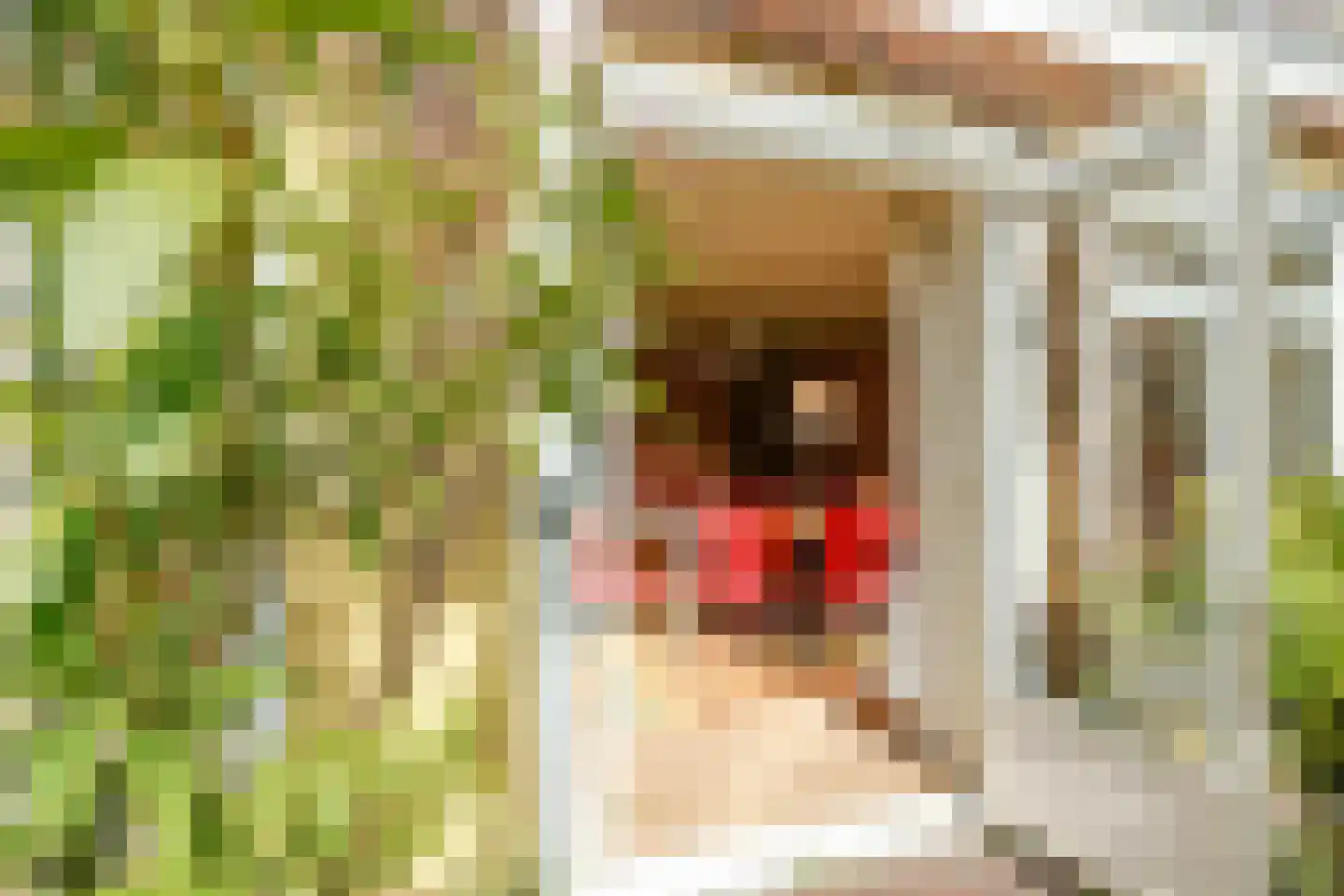 Javastraat 23 Den Haag thumbnail 26
