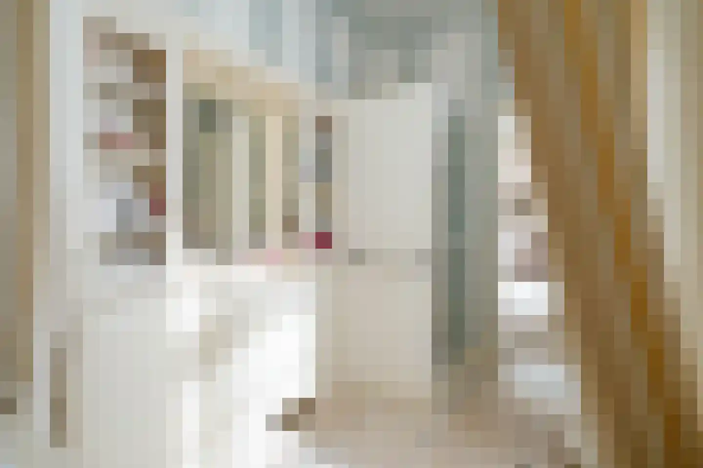 Javastraat 23 Den Haag thumbnail 57