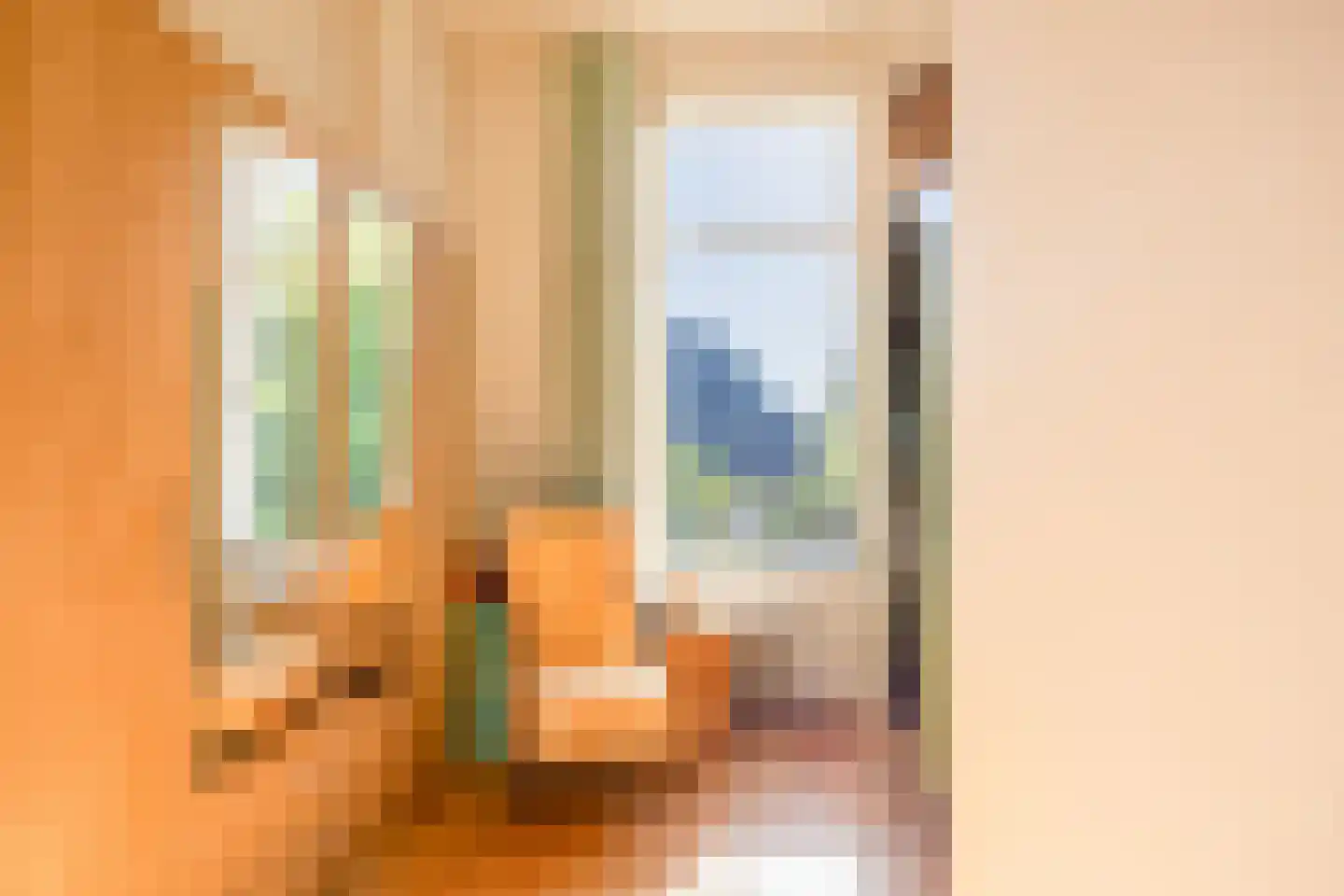 Javastraat 23 Nijmegen thumbnail 20