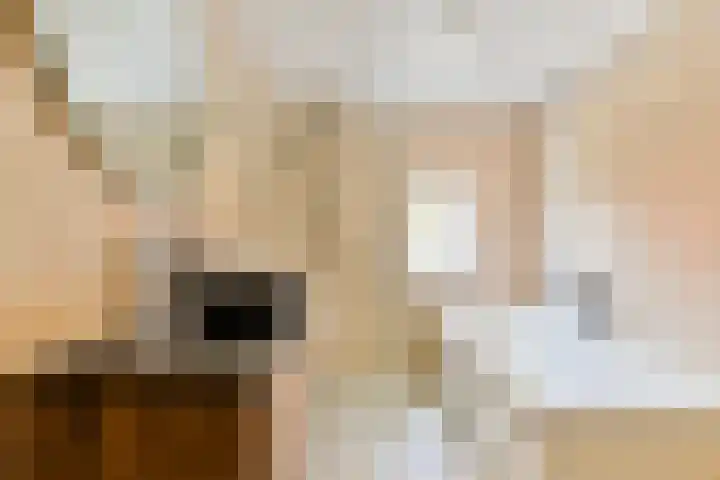 Javastraat 23 Oegstgeest thumbnail 15