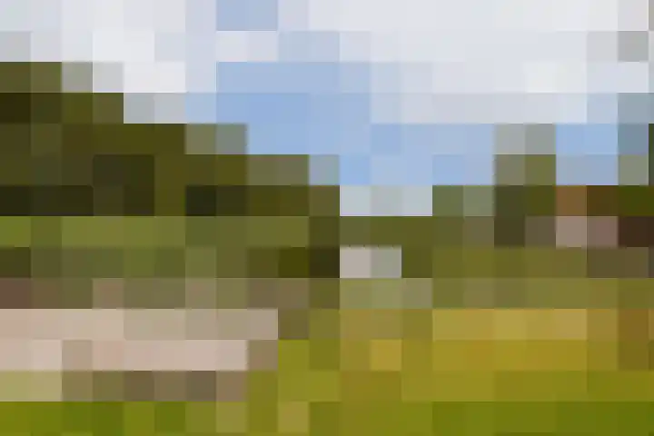 Javastraat 23 Oegstgeest thumbnail 21