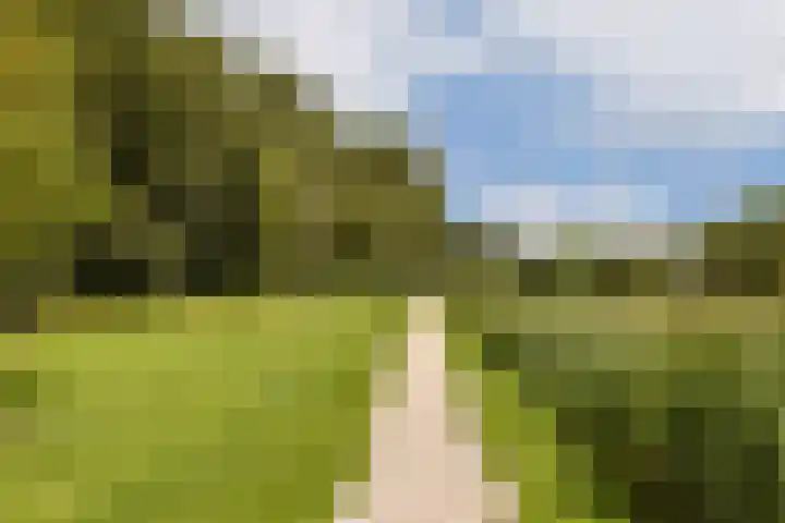 Javastraat 23 Oegstgeest thumbnail 22