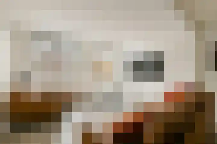 Javastraat 23 Oegstgeest thumbnail 4