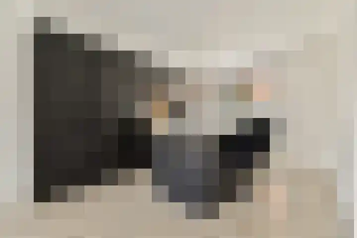 Javastraat 23 Oegstgeest thumbnail 7