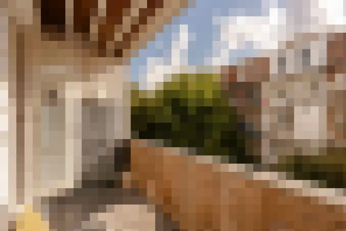 Javastraat 24 2 Amsterdam thumbnail 13
