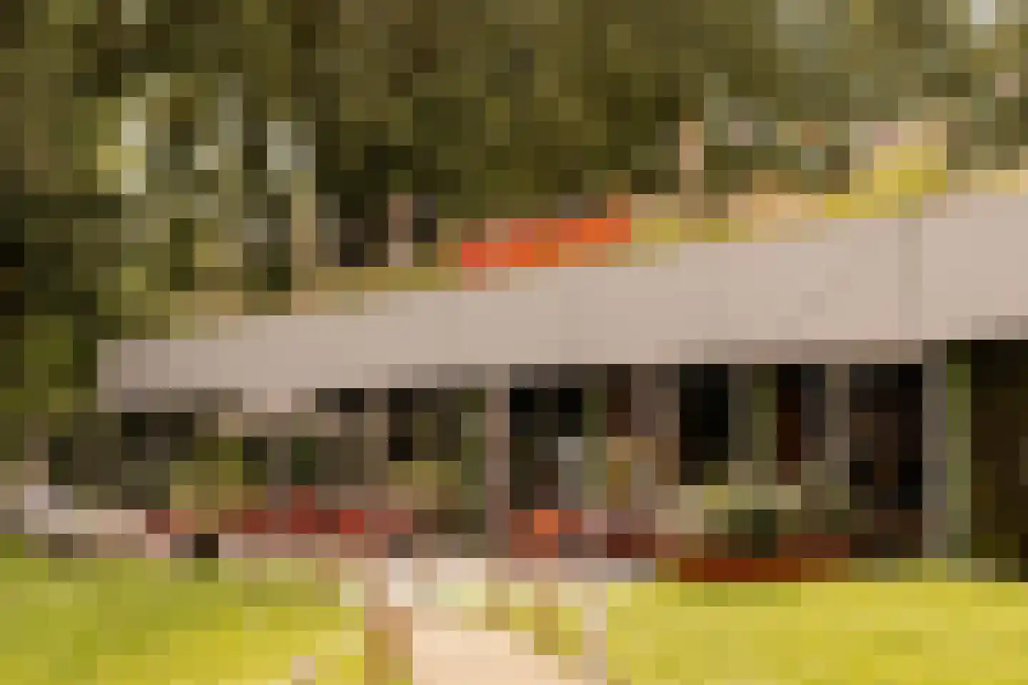 Javastraat 24 2 Amsterdam thumbnail 32
