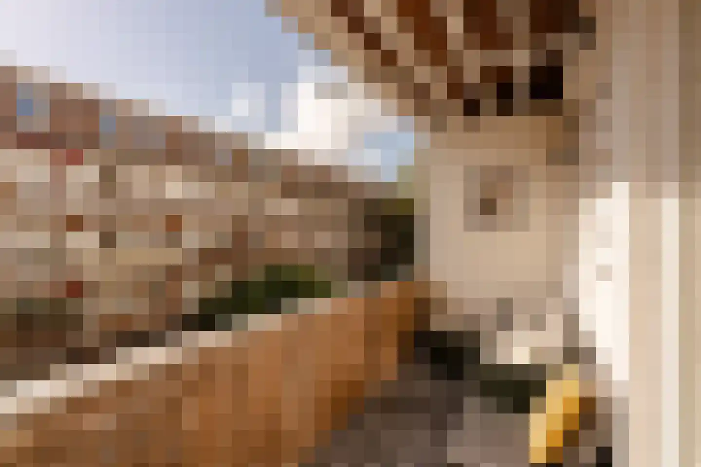 Javastraat 24 2 Amsterdam thumbnail 4