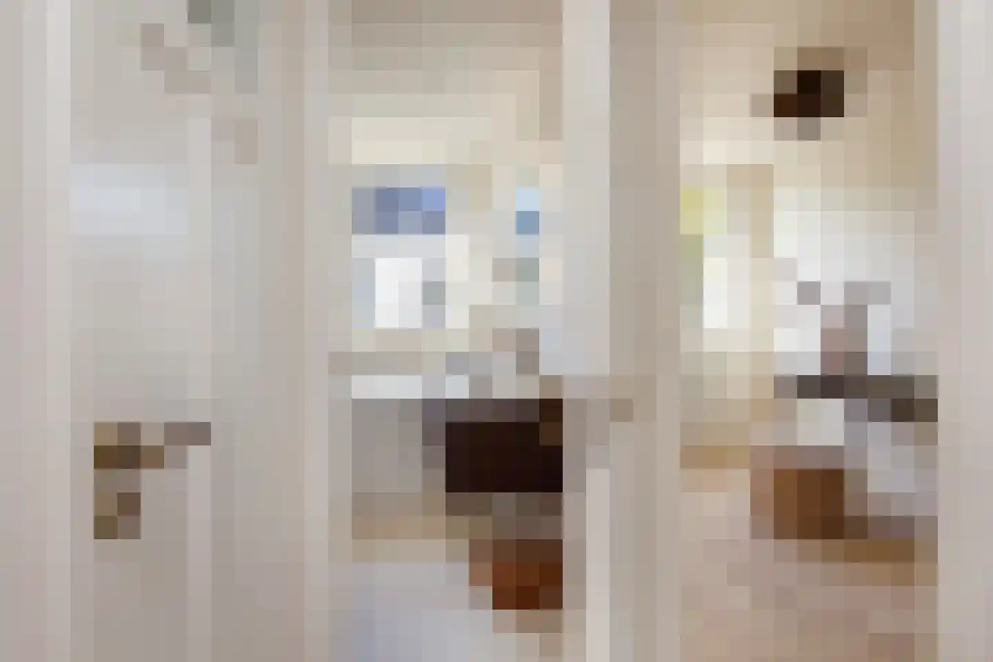 Javastraat 24 Haarlem thumbnail 26