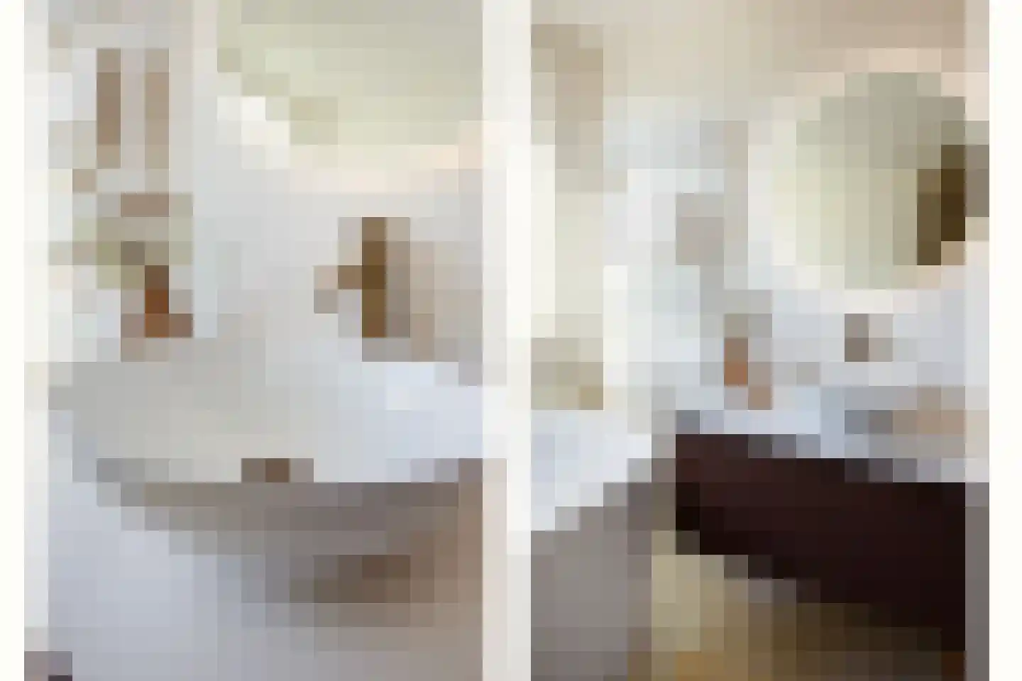 Javastraat 24 Haarlem thumbnail 27