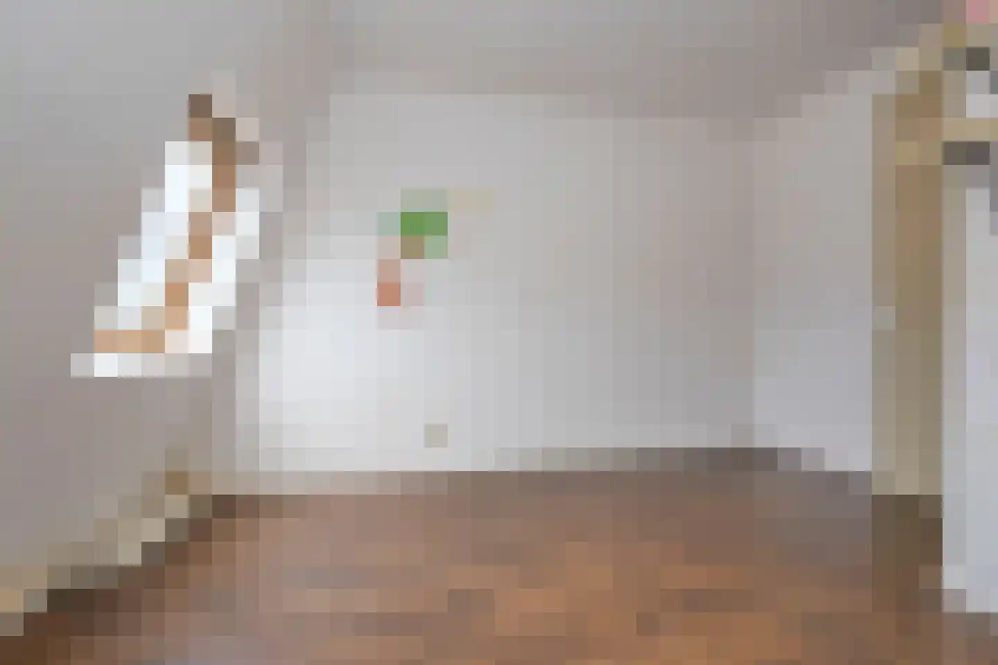 Javastraat 24 Haarlem thumbnail 42